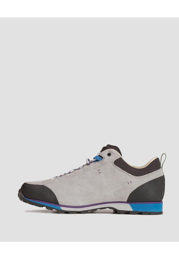 Buty męskie Dolomite 54 Hike Low Evo GTX. Kolor: szary