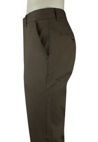 Brązowe, Bawełniane Spodnie Typu Chinos - Rigon - Slim. Kolor: beżowy, wielokolorowy, brązowy. Materiał: elastan, bawełna #2