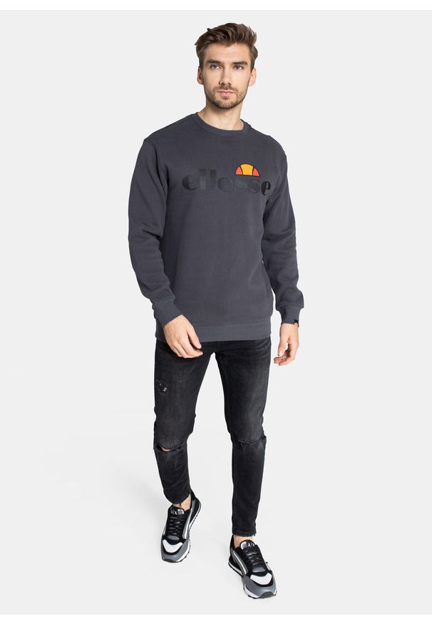 Bluza męska Ellesse Succiso (SHC07930-103). Kolor: szary. Wzór: kolorowy. Sezon: lato. Styl: street