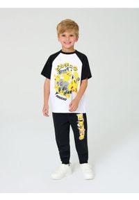 Sinsay - Spodnie dresowe Pokémon - czarny. Kolor: czarny. Materiał: dresówka