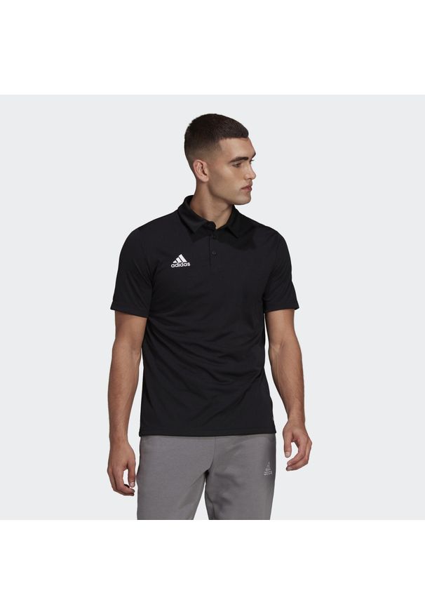 Koszulka polo do piłki nożnej męska Adidas Entrada 22 Polo z krótkim rękawem. Typ kołnierza: polo. Kolor: czarny. Materiał: poliester. Długość rękawa: krótki rękaw. Długość: krótkie. Sport: piłka nożna