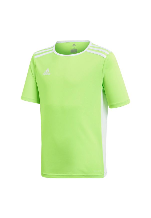 Adidas - Koszulka dla dzieci adidas Entrada 18 Jersey JUNIOR. Kolor: biały, zielony, wielokolorowy. Materiał: jersey