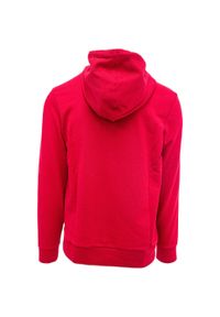 Diadora - Bluza męska DIADORA HOODIE BIG LOGO. Typ kołnierza: kaptur. Kolor: czerwony