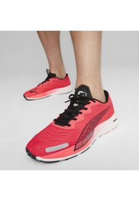 Buty do biegania Puma Velocity Nitro 2. Kolor: czerwony, wielokolorowy, czarny