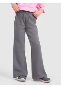 4f - 4F Spodnie dresowe z szerokimi nogawkami dziewczęce - szare 122 (6-7 lat). Okazja: na co dzień. Kolor: szary. Materiał: dresówka. Wzór: gładki, ze splotem. Sezon: lato. Styl: młodzieżowy, casual, sportowy #2