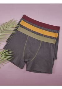 Sinsay - Bokserki 3 pack - wielobarwny