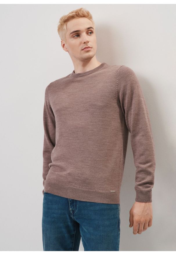 Ochnik - Beżowy wełniany sweter męski. Kolor: beżowy. Materiał: wełna