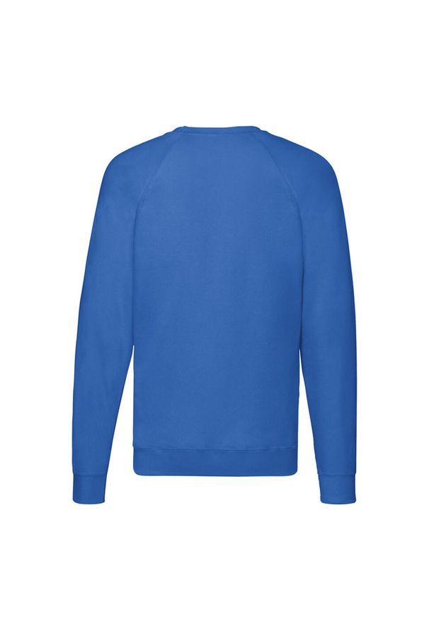 FRUIT OF THE LOOM - Lekki Męski Sweter Raglanowy. Kolor: niebieski. Długość rękawa: raglanowy rękaw