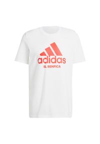 Adidas - Koszulka Benfica Seasonal Graphic. Kolor: wielokolorowy, czerwony, biały. Materiał: bawełna