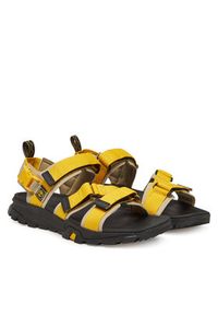 Timberland Sandały Garrison Trail TB0A6DXTETU1 Żółty. Kolor: żółty. Materiał: materiał #5