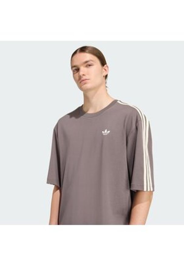 Adidas - adidas T-Shirt adicolor 3-Stripes KE1591 Szary Oversize. Kolor: szary. Materiał: bawełna