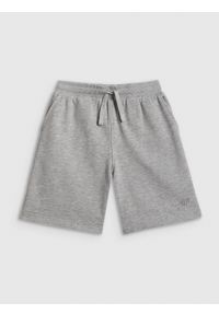 4f - 4F Spodenki dresowe chłopięce - szare 146 (10-11 lat). Okazja: na spacer. Kolor: szary. Materiał: dresówka. Sezon: lato #1
