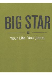 Big-Star - Koszulka męska o klasycznym kroju zielona Bruno 305. Okazja: na co dzień. Kolor: zielony. Materiał: tkanina, bawełna, materiał. Wzór: nadruk, jednolity. Styl: klasyczny #2