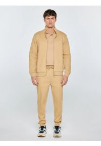 Big-Star - Koszulka męska polo beżowa Wladym 801. Okazja: na co dzień. Typ kołnierza: polo. Kolor: beżowy. Materiał: dzianina, jeans, materiał. Wzór: nadruk, aplikacja, paski. Styl: elegancki, casual, klasyczny, sportowy, wizytowy #3