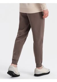 Ombre Clothing - Spodnie męskie dresowe z przeszyciem i zamkiem na nogawce - brązowe V4 - Rozmiar: XXL. Kolor: brązowy. Materiał: dresówka. Wzór: nadruk #5