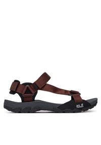 Sandały Jack Wolfskin. Kolor: brązowy #1