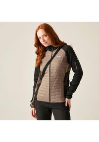 Regatta - Kurtka damska hybrydowa Newhill. Kolor: brązowy. Materiał: dzianina, puch. Wzór: melanż. Sport: turystyka piesza #1
