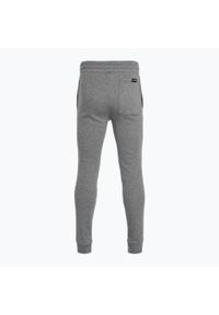 Spodnie męskie Under Armour Curry Splash Jogger. Kolor: szary. Sport: fitness
