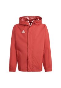 Adidas - Entrada 22 All-Weather Jacket. Kolor: czerwony. Materiał: materiał #1