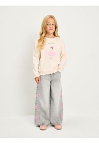 Sinsay - Bluza z aplikacją 3D - kremowy. Kolor: kremowy. Wzór: aplikacja #1