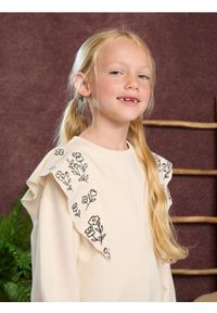 Sinsay - Bluza z haftem - kremowy. Typ kołnierza: kołnierz z falbankami. Kolor: kremowy. Długość: długie. Wzór: haft #1