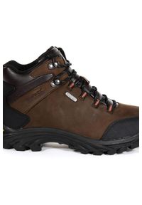 Buty trekkingowe męskie Regatta Burrell skórzane. Okazja: na spacer. Kolor: brązowy. Materiał: guma, skóra. Sport: turystyka piesza #2
