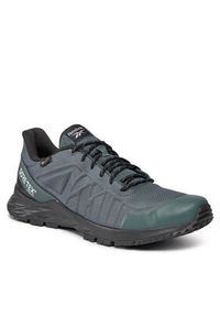 Reebok Buty GORE-TEX Astroride Trail Gtx 2.0 IE2477 Niebieski. Kolor: niebieski. Technologia: Gore-Tex