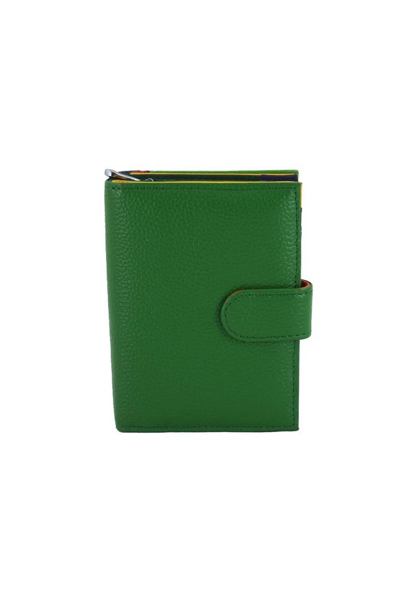 Barberini's - Portfel skórzany BARBERINI'S zielony D-8578-38. Kolor: zielony. Materiał: skóra. Wzór: kolorowy