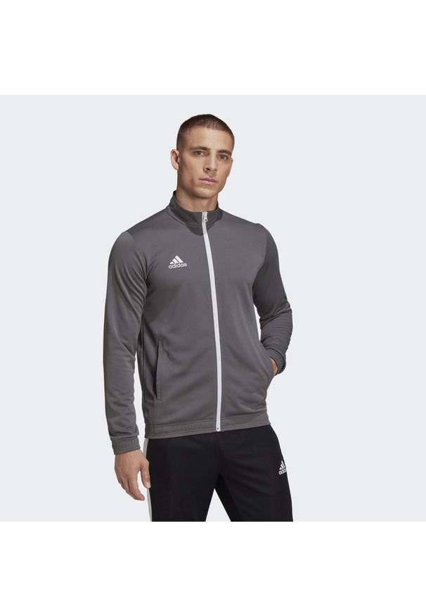 Adidas - Entrada 22 Track Jacket. Kolor: szary. Materiał: poliester, materiał. Sport: piłka nożna