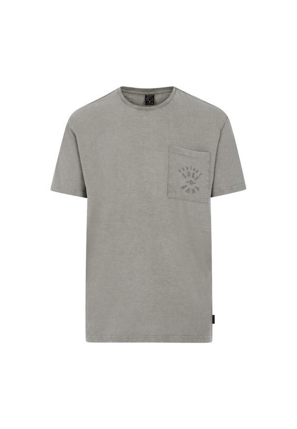 Koszulka Protest Farrel. Kolor: szary