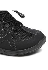 ecco - ECCO Trekkingi Terracruise Lt W 82577351052 Czarny. Kolor: czarny. Materiał: skóra