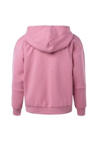 Hi-tec - Bluza Dziecięca Pear Full Zip Hoodie. Kolor: różowy. Sport: turystyka piesza