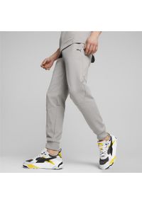 Puma Spodnie Rad/Cal Dk Op 67589014. Kolor: szary