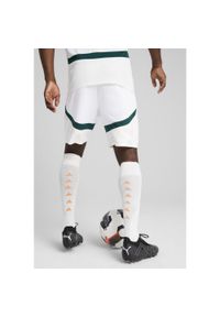 Puma - Męskie szorty Wybrzeże Kości Słoniowej 2025 PUMA White Dark Myrtle Green. Kolor: biały, wielokolorowy, zielony