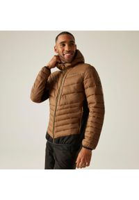 Regatta - Kurtka męska hybrydowa Leedre z kapturem. Typ kołnierza: kaptur. Kolor: brązowy. Materiał: puch, syntetyk. Sport: turystyka piesza #1