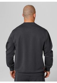 PITBULL - Bluza męska Pitbull Explorer. Kolor: szary. Sport: fitness