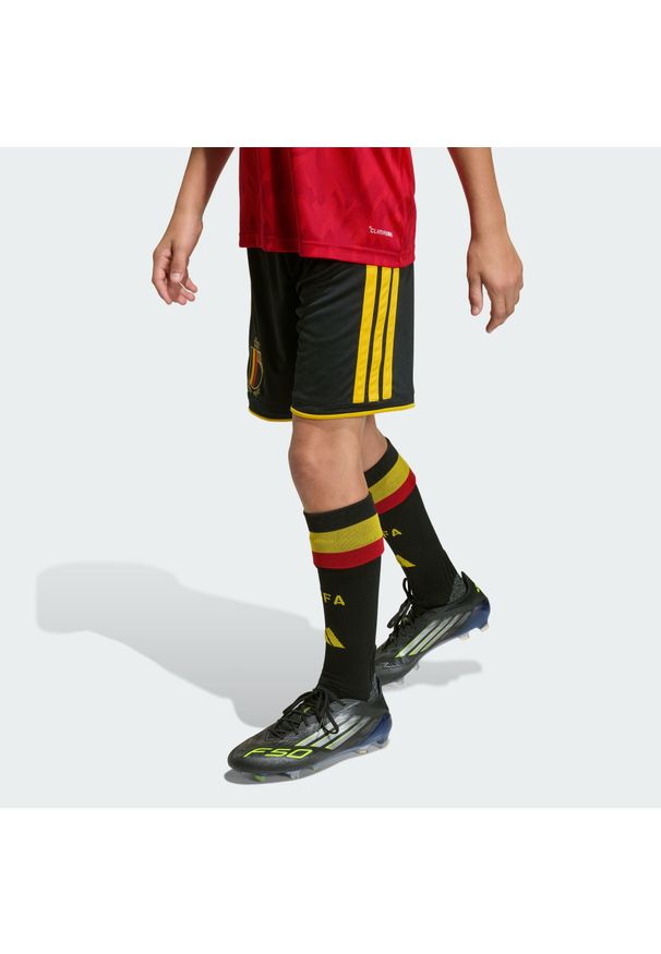 Adidas - Spodenki dziecięce podstawowe Belgia 26. Kolor: żółty, wielokolorowy, czarny. Styl: sportowy