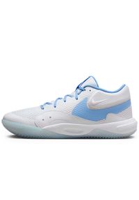 Buty Do Siatki Nike Hyperquick Dorośli. Kolor: biały. Sport: siatkówka #1