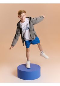 Sinsay - Kurtka jeansowa z efektem sprania - szary. Kolor: szary. Materiał: jeans #1