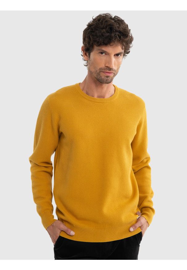 Big-Star - Sweter męski bawełniany klasyczny żółty Reyli 202. Kolor: żółty. Materiał: bawełna. Sezon: zima, jesień. Styl: klasyczny