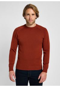 Lee - LEE MĘSKI SWETER CLEAN RAGLAN SWEATER SWEET MAPLE 112355672. Długość rękawa: raglanowy rękaw