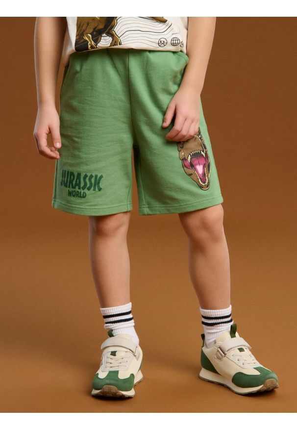 Sinsay - Szorty Jurassic World - green spruce