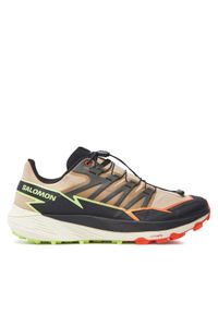 salomon - Salomon Buty do biegania Thundercross L47688400 Brązowy. Kolor: brązowy. Materiał: materiał #1