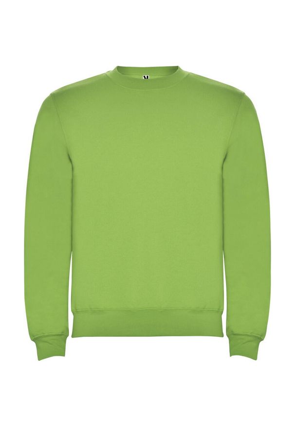 ROLY - Bluza Dziecięca Clasica Z Okrągłym Dekoltem. Kolor: zielony
