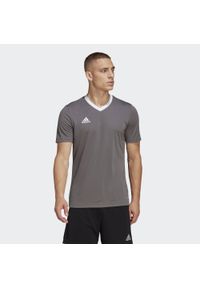 Adidas - Entrada 22 Jersey. Kolor: szary. Materiał: jersey. Sport: piłka nożna #1