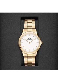 Daniel Wellington Zegarek Iconic Link DW00100565 Złoty. Kolor: złoty #2