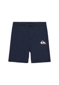 Quiksilver - Spodenki z elastyczną talią EASY DAY. Kolor: niebieski. Materiał: materiał, poliester, bawełna. Długość: krótkie. Sezon: lato