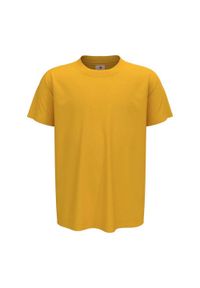 Stedman - Koszulka Dziecięca Klasyczna. Kolor: żółty. Sport: turystyka piesza #1