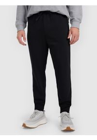 4f - 4F Spodnie dresowe joggery męskie - czarne M. Kolor: czarny. Materiał: dresówka. Sport: fitness, turystyka piesza #2