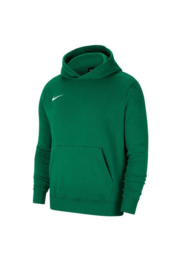 Bluza sportowa chłopięca Nike JR Park 20 Fleece. Typ kołnierza: kaptur. Kolor: biały, zielony, wielokolorowy. Styl: sportowy